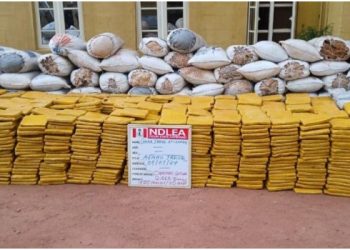 NDLEA Uncovers Cocaine, Tramadol Hidden In Shoes, Custard Containers