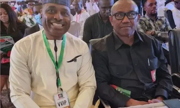 Kenneth Okonkwo, a mole who just exposed himself – Labour Party