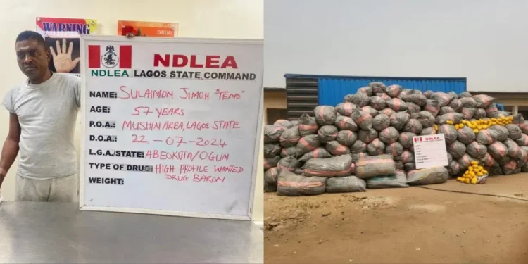 NDLEA Arrests Temo, Lagos most Wanted Drug Baron
