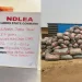 NDLEA Arrests Temo, Lagos most Wanted Drug Baron