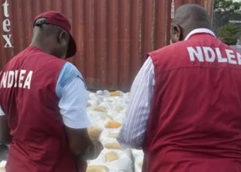 NDLEA Arrests Couple, Recovers N2.1b Drug In Raid On Lagos Cocaine Syndicate