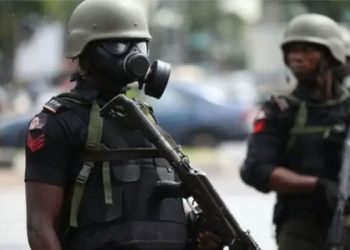 Police Alert Nigerians To Planned Nationwide Cultist Initiation