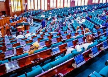 Local govt autonomy: Reps move to halt federal allocation to 21 Govs’ appointees