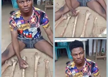 Young herbalist arrested with 11 human bones in Anambra