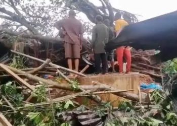 Tree Falls, kill four at Edo market, scores injured