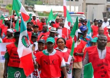 We Can’t Withdraw From Protest We Didn’t Organise — NLC