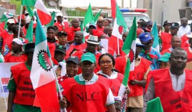 We Can’t Withdraw From Protest We Didn’t Organise — NLC