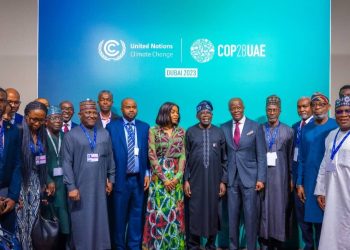 ‘Some officials have no business there’ — FG to cut COP29 budget by N10b