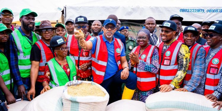 Ogun To Join Rice Producing States, Pledges Support For Farmers Towards Generation Of N30 billion Revenue