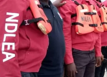 NDLEA destroys 7 hectares of hemp farm, nabs 3 in Kogi