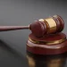 Court orders DSS to freeze 20 bank accounts linked to female ‘terrorist