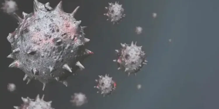 Mpox: Bayelsa leads as NCDC confirms 39 cases in 33 states, FCT