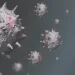 Monkeypox spreads: 44 cases, one death recorded in West Africa — ECOWAS