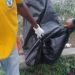 Train crushes man to death in Lagos