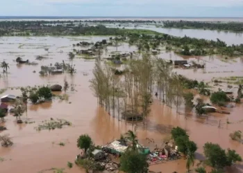 Death toll in Bauchi flood rises to 24