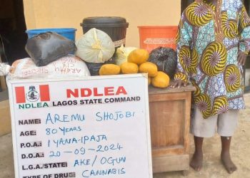 NDLEA arrests 80-year-old grandfather with illicit drugs in Lagos