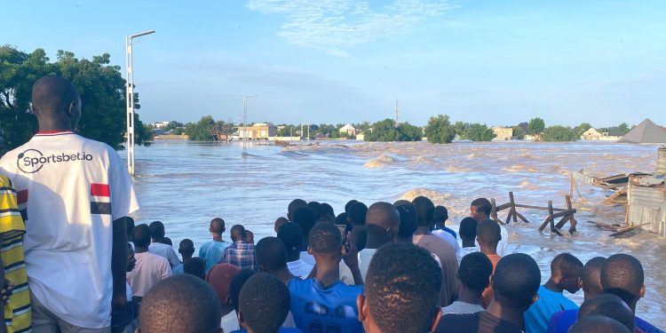 Many Displaced, Inmates Escape As Flood Ravages Borno