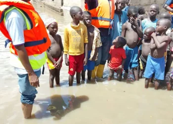 Floods: 11 lives lost, 6,865 households affected in Niger
