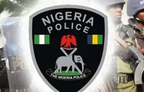 Anti-bullet charm trial: Native doctor in police net for allegedly killing client