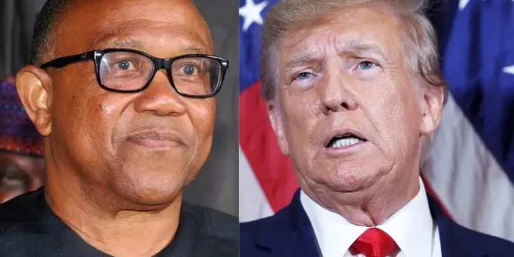 Comparing me to Trump won’t change Nigeria’s reality, Obi tackles presidency