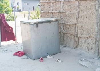 Four children found dead after getting trapped in unused freezer while playing