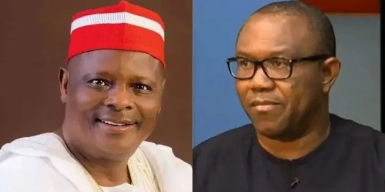 PDP in talks with Kwankwaso, Peter Obi ahead of 2027 — Spokesman