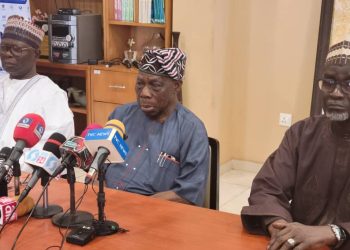 Nigeria has disappointed black race, Africa Obasanjo