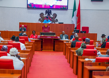Senators Divided Over Funding For Development Commissions