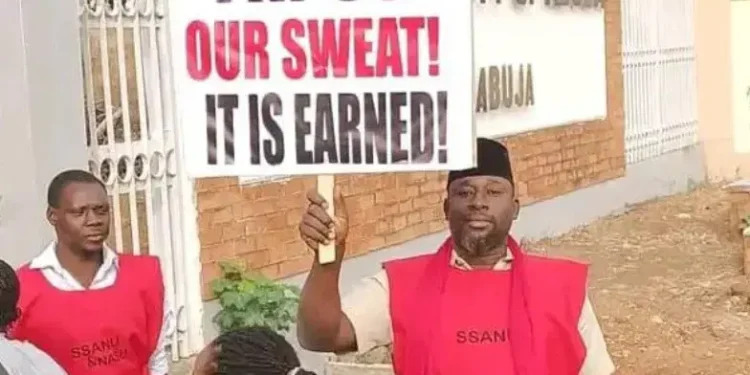 4 months withheld salaries: NASU, SSANU begin indefinite strike on Monday