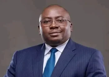 We’ll restore electricity to north within 5 days – Adelabu