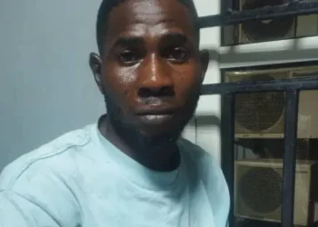 Man stabs pregnant wife, sets body ablaze 3 months after wedding