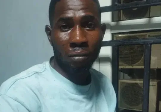 Man stabs pregnant wife, sets body ablaze 3 months after wedding