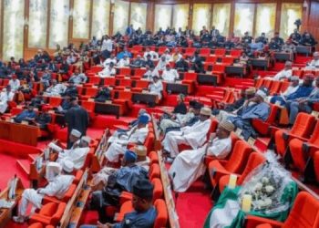 Senate decries increasing brain drain in tertiary education
