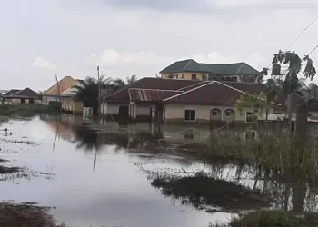 Surging River Benue displaces Makurdi residents, submerges houses, farmlands