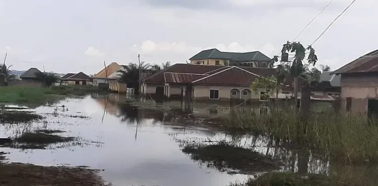 Surging River Benue displaces Makurdi residents, submerges houses, farmlands