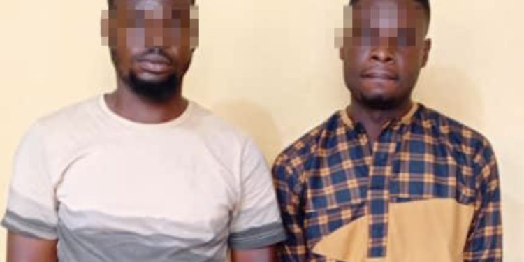 Police arrest two brothers for kidnapping, raping, robbing 17-year-old girl in Ogun