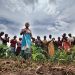 Rise in female breadwinners, remittance inflow
