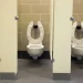 Nigeria needs 11.6m toilets to end open defecation, says minister
