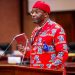 N/Assembly to amend 161 areas in 1999 constitution – Kalu