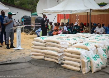 Court stops customs from seizing imported rice in markets, seaports