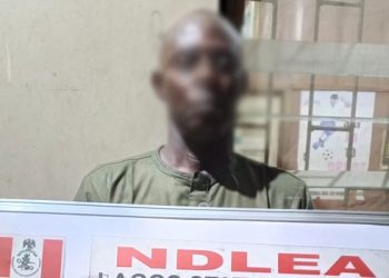 NDLEA Arrests Traditional Priest, Intercepts ₦1.1bn Worth Of Codeine
