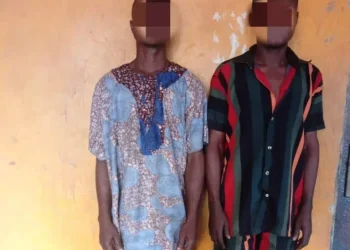 Man steals goat for daughter’s naming in Ogun