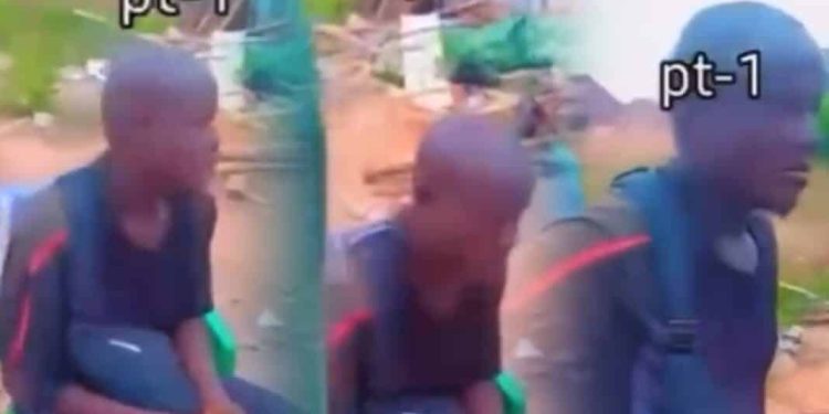 Man spotted crying after his manhood ‘vanished’