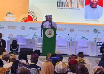 Africa must ditch foreign blueprints for homegrown solutions, says Shettima