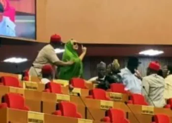 Rowdy senate session as senator Natasha protests seat change