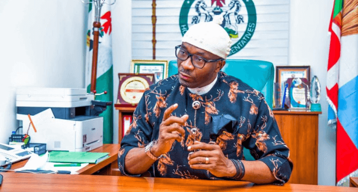 Proposals for 30 new states did not meet constitutional requirements – Deputy Speaker