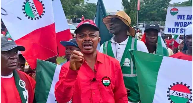Don’t become undertaker of telecom sector – Telcos warn NLC