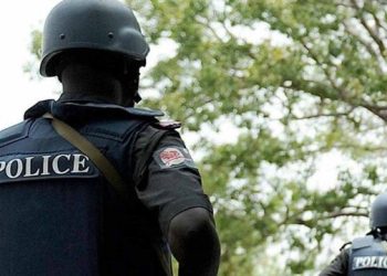 Man arrested for allegedly killing his brother over a disagreement in Anambra
