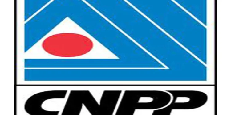 CNPP, Civil society groups demand resignation of minister of power over electricity crisis