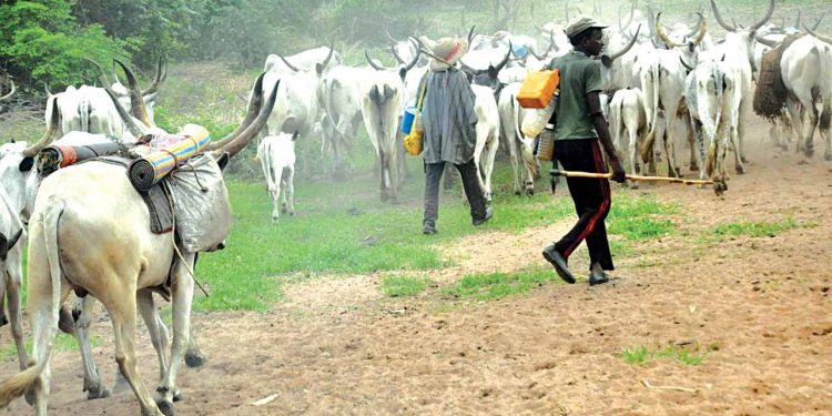 Bandits invade Ondo communities, kill over 20 farmers